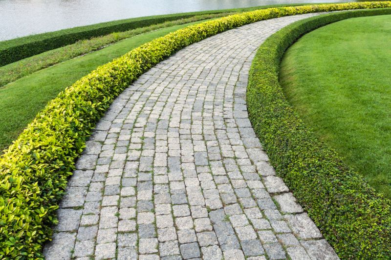 Elegant Paver Edging
