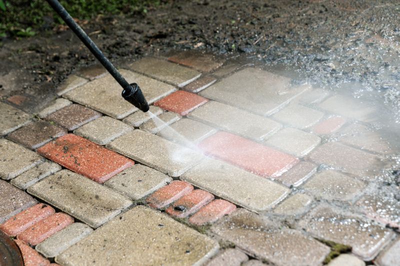 Cleaning Pavers