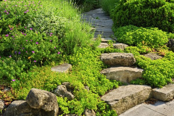 Flagstone Landscaping Service